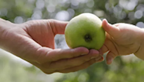 ISRS™: 비즈니스의 건전성을 위해