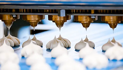 FSSC 22000 식품안전경영시스템