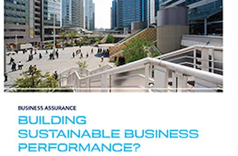 Building Sustainable Business Performance?